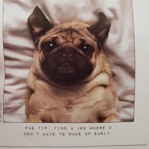 Meet your Posher, Charles